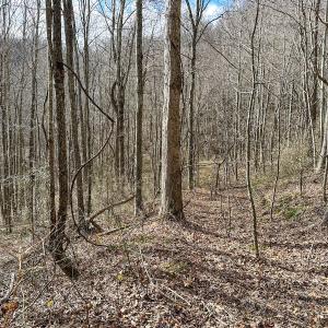 Photo #20 of SOLD property in Off Schultz Hollow Rd, Bluefield, VA 10.2 acres