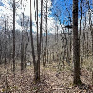 Photo #21 of SOLD property in Off Schultz Hollow Rd, Bluefield, VA 10.2 acres