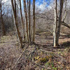 Photo #23 of SOLD property in Off Schultz Hollow Rd, Bluefield, VA 10.2 acres