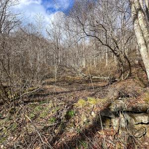 Photo #24 of SOLD property in Off Schultz Hollow Rd, Bluefield, VA 10.2 acres