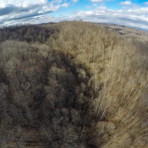 Photo #5 of SOLD property in Off Schultz Hollow Rd, Bluefield, VA 10.2 acres