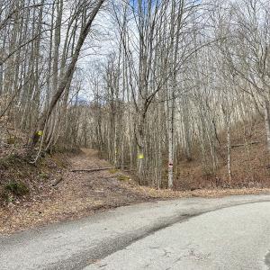 Photo #6 of SOLD property in Off Schultz Hollow Rd, Bluefield, VA 10.2 acres