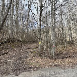 Photo #7 of SOLD property in Off Schultz Hollow Rd, Bluefield, VA 10.2 acres