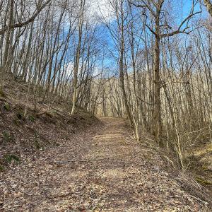 Photo #8 of SOLD property in Off Schultz Hollow Rd, Bluefield, VA 10.2 acres