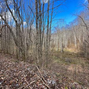 Photo #9 of SOLD property in Off Schultz Hollow Rd, Bluefield, VA 10.2 acres