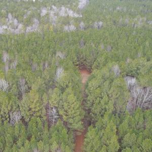 Photo #16 of SOLD property in Off Golden Hill Rd, Elberon, VA 100.0 acres