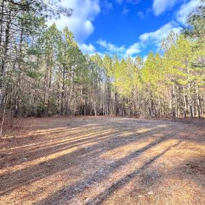 Photo #17 of SOLD property in Off Golden Hill Rd, Elberon, VA 100.0 acres
