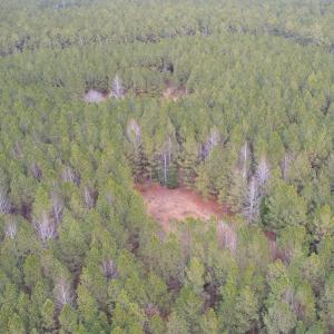 Photo #18 of SOLD property in Off Golden Hill Rd, Elberon, VA 100.0 acres