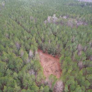Photo #19 of SOLD property in Off Golden Hill Rd, Elberon, VA 100.0 acres
