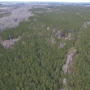 Photo #2 of SOLD property in Off Golden Hill Rd, Elberon, VA 100.0 acres