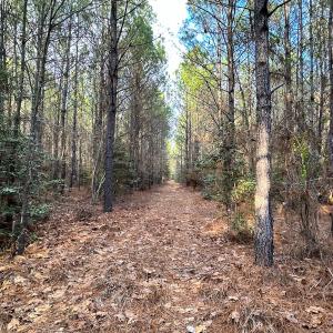 Photo #27 of SOLD property in Off Golden Hill Rd, Elberon, VA 100.0 acres