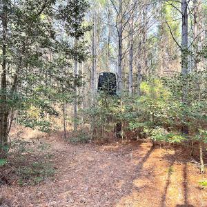 Photo #28 of SOLD property in Off Golden Hill Rd, Elberon, VA 100.0 acres