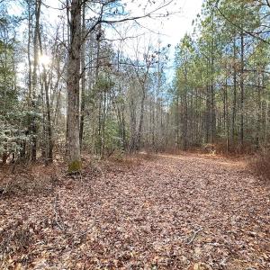 Photo #29 of SOLD property in Off Golden Hill Rd, Elberon, VA 100.0 acres