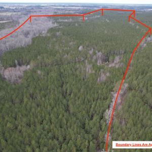 Photo #3 of SOLD property in Off Golden Hill Rd, Elberon, VA 100.0 acres