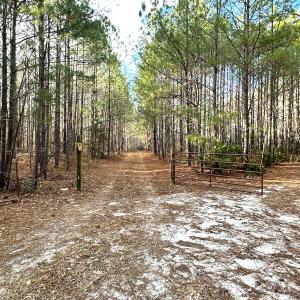 Photo #32 of SOLD property in Off Golden Hill Rd, Elberon, VA 100.0 acres