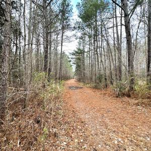 Photo #33 of SOLD property in Off Golden Hill Rd, Elberon, VA 100.0 acres
