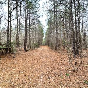Photo #34 of SOLD property in Off Golden Hill Rd, Elberon, VA 100.0 acres