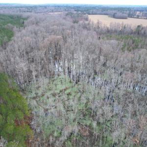 Photo #8 of SOLD property in Off Golden Hill Rd, Elberon, VA 100.0 acres