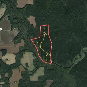 Photo #1 of SOLD property in Off Golden Hill Rd, Elberon, VA 100.0 acres