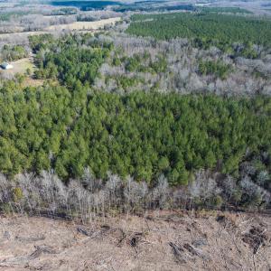 Photo #29 of Off Campbell Road, Bear Creek, NC 13.3 acres