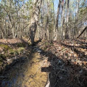 Photo #36 of Off Campbell Road, Bear Creek, NC 13.3 acres