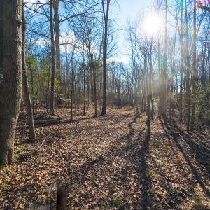 Photo #38 of Off Campbell Road, Bear Creek, NC 13.3 acres
