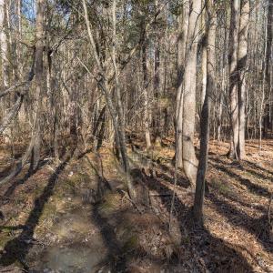 Photo #44 of Off Campbell Road, Bear Creek, NC 13.3 acres