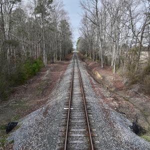 Photo #12 of SOLD property in Off Old Brick Road, Vanceboro, NC 12.0 acres