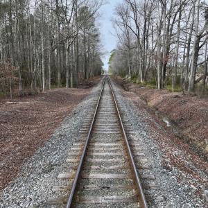 Photo #18 of SOLD property in Off Old Brick Road, Vanceboro, NC 12.0 acres