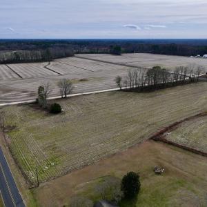 Photo #4 of SOLD property in Off Old Brick Road, Vanceboro, NC 12.0 acres
