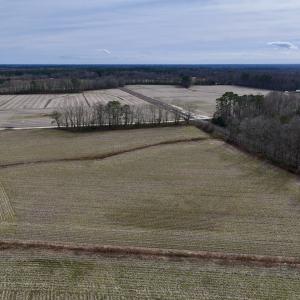 Photo #6 of SOLD property in Off Old Brick Road, Vanceboro, NC 12.0 acres