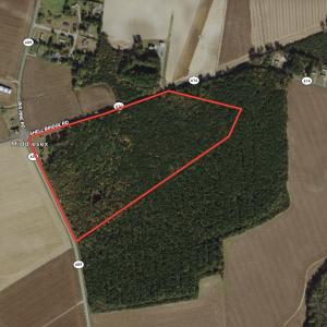 Photo #1 of SOLD property in Off Big Pine Rd, Painter, VA 31.8 acres