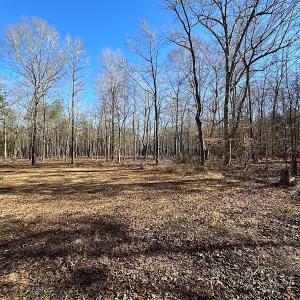 Photo #8 of SOLD property in Off Big Pine Rd, Painter, VA 31.8 acres