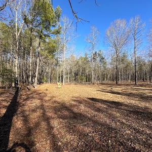 Photo #11 of SOLD property in Off Big Pine Rd, Painter, VA 31.8 acres