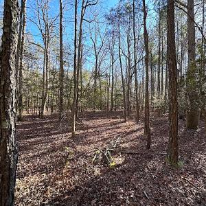 Photo #29 of SOLD property in Off Big Pine Rd, Painter, VA 31.8 acres