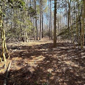 Photo #38 of SOLD property in Off Big Pine Rd, Painter, VA 31.8 acres