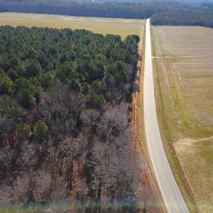 Photo #3 of SOLD property in Off Big Pine Rd, Painter, VA 31.8 acres