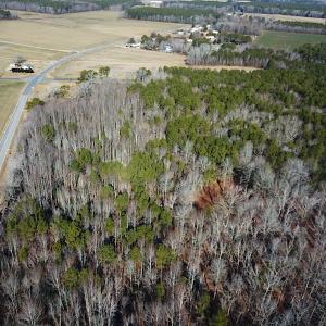 Photo #5 of SOLD property in Off Big Pine Rd, Painter, VA 31.8 acres