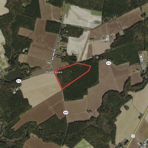 Photo #41 of SOLD property in Off Big Pine Rd, Painter, VA 31.8 acres