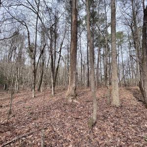 Photo #11 of SOLD property in Off Hwy US 17, Vanceboro, NC 13.6 acres