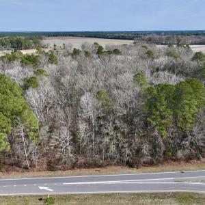 Photo #13 of SOLD property in Off Hwy US 17, Vanceboro, NC 13.6 acres