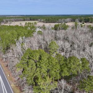 Photo #14 of SOLD property in Off Hwy US 17, Vanceboro, NC 13.6 acres