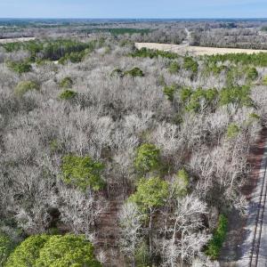 Photo #18 of SOLD property in Off Hwy US 17, Vanceboro, NC 13.6 acres