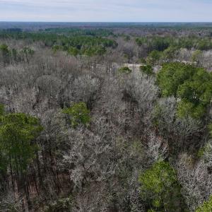 Photo #21 of SOLD property in Off Hwy US 17, Vanceboro, NC 13.6 acres