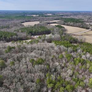 Photo #22 of SOLD property in Off Hwy US 17, Vanceboro, NC 13.6 acres