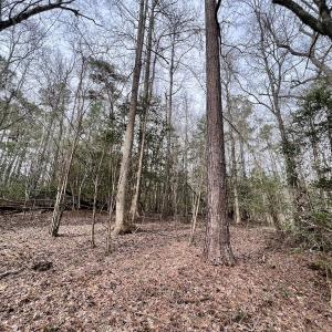 Photo #23 of SOLD property in Off Hwy US 17, Vanceboro, NC 13.6 acres