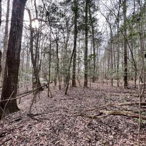 Photo #24 of SOLD property in Off Hwy US 17, Vanceboro, NC 13.6 acres