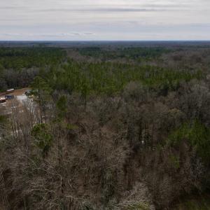 Photo #26 of SOLD property in Off Hwy US 17, Vanceboro, NC 13.6 acres