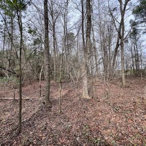 Photo #28 of SOLD property in Off Hwy US 17, Vanceboro, NC 13.6 acres