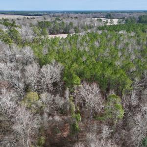 Photo #30 of SOLD property in Off Hwy US 17, Vanceboro, NC 13.6 acres